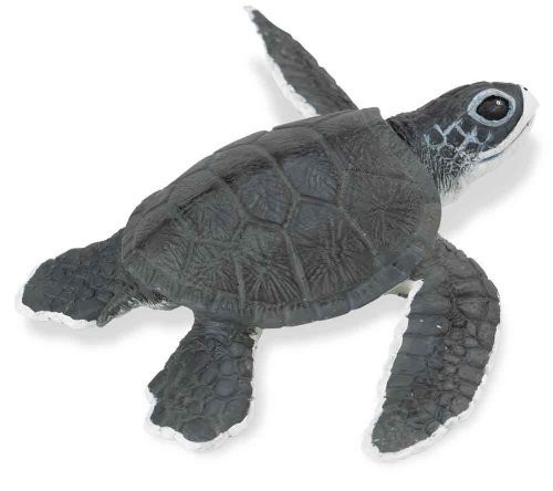Safari Ltd Incredible Creatures Sea Turtle Baby