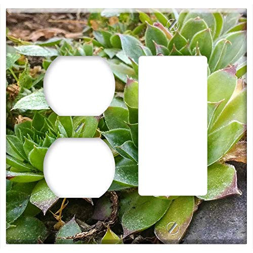 2-Gang Outlet Rocker GFCI Combination Wall Plate Cover - Succulent Succulents Nature Plant Garden Botanical