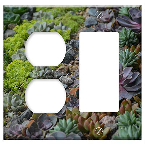 2-Gang Outlet Rocker GFCI Combination Wall Plate Cover - Plant Succulent Plants Flower Nature Green Garden