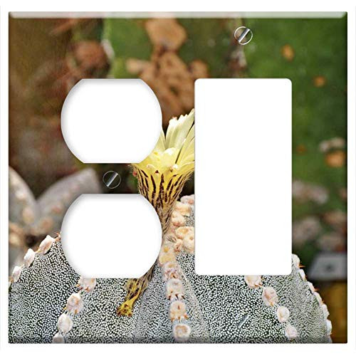 2-Gang Outlet Rocker GFCI Combination Wall Plate Cover - Cactus Spur Blossom Bloom Bloom Green Prickly 2 2-Gang Outlet Rocker GFCI Combination Wall Plate Cover - Cactus Spur Blossom Bloom Bloom Green Prickly 2