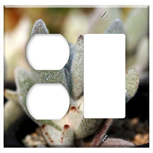 2-Gang Outlet Rocker GFCI Combination Wall Plate Cover - A Fleshy Plant Fleshy In This Cactus Garden Flowers 10