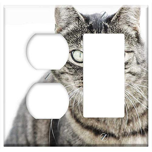 2-Gang Outlet Rocker GFCI Combination Wall Plate Cover - Cat Striped Pet Mackerel Fur Animal Nature 2-Gang Outlet Rocker GFCI Combination Wall Plate Cover - Cat Striped Pet Mackerel Fur Animal Nature