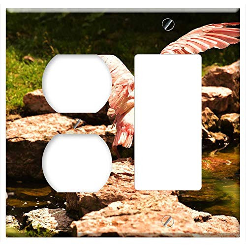 2-Gang Outlet Rocker GFCI Combination Wall Plate Cover - Bird Pink Water Animal Feather Color Zoo 2-Gang Outlet Rocker GFCI Combination Wall Plate Cover - Bird Pink Water Animal Feather Color Zoo