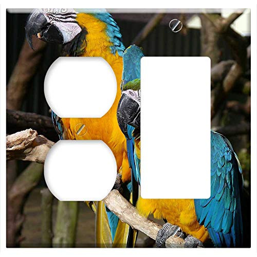 2-Gang Outlet Rocker GFCI Combination Wall Plate Cover - Macaw Parrot Bird Fly Wings Feather Wildlife 4