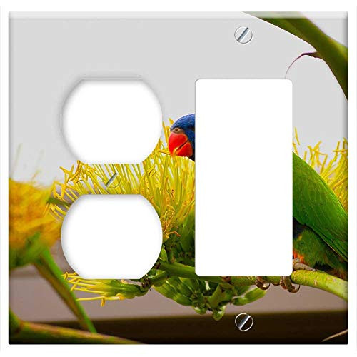 2-Gang Outlet Rocker GFCI Combination Wall Plate Cover - Bird Lorikeet Colorful Beak Rainbow Feather 2-Gang Outlet Rocker GFCI Combination Wall Plate Cover - Bird Lorikeet Colorful Beak Rainbow Feather