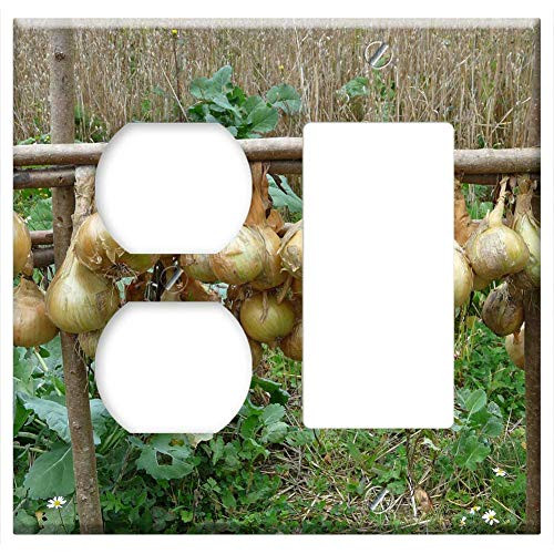 2-Gang Outlet Rocker GFCI Combination Wall Plate Cover - Onions Allium Cepa Kitchen Onion Gartenzwiebel
