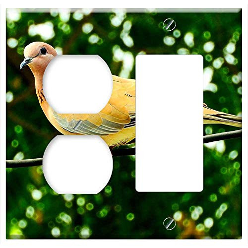 2-Gang Outlet Rocker GFCI Combination Wall Plate Cover - Dove Bird Peace Wing Nature Feather