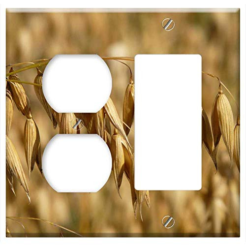 2-Gang Outlet Rocker GFCI Combination Wall Plate Cover - Oats Oat Field Arable Cereals Grain Cornfield