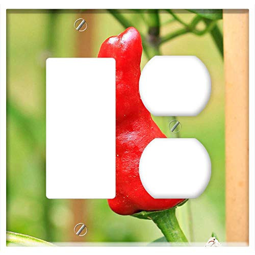2-Gang Rocker GFCI Outlet Combination Wall Plate Cover - Pepperoni Paprika NachtschattengewAchs Red Pepper 2 2-Gang Rocker GFCI Outlet Combination Wall Plate Cover - Pepperoni Paprika NachtschattengewAchs Red Pepper 2