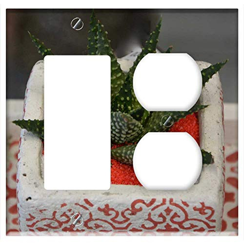 2-Gang Rocker GFCI Outlet Combination Wall Plate Cover - Plant Cactus Nature Green Vegetation Succulent