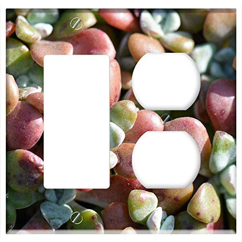 2-Gang Rocker GFCI Outlet Combination Wall Plate Cover - Succulent Nature Plant