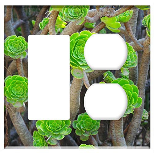 2-Gang Rocker GFCI Outlet Combination Wall Plate Cover - Succulent Green Nature Floral Plant Natural 2-Gang Rocker GFCI Outlet Combination Wall Plate Cover - Succulent Green Nature Floral Plant Natural