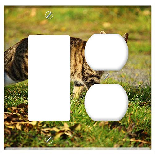 2-Gang Rocker GFCI Outlet Combination Wall Plate Cover - Cat Mackerel Autumn Kitten Mieze Nature Pet
