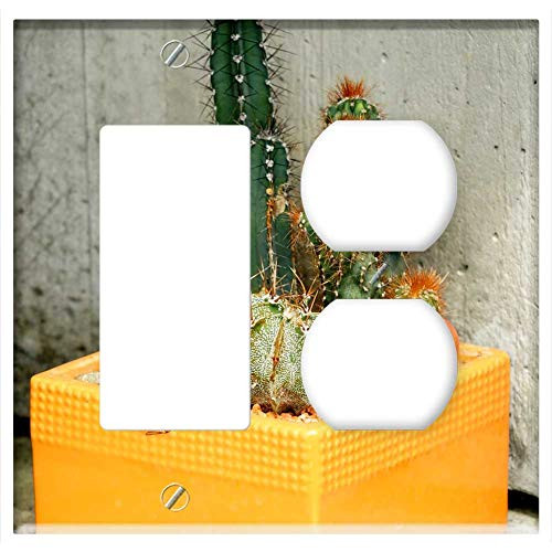 2-Gang Rocker GFCI Outlet Combination Wall Plate Cover - Cactus Plant Green Spur Potted Plant Succulents