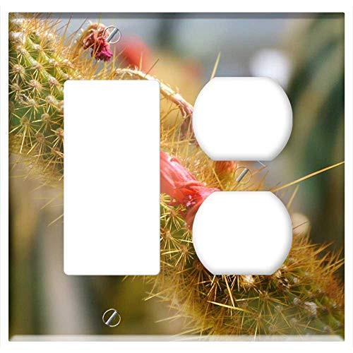2-Gang Rocker GFCI Outlet Combination Wall Plate Cover - Cactus Spur Blossom Bloom Bloom Green Prickly 8 2-Gang Rocker GFCI Outlet Combination Wall Plate Cover - Cactus Spur Blossom Bloom Bloom Green Prickly 8