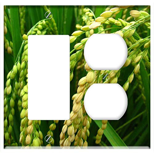 2-Gang Rocker GFCI Outlet Combination Wall Plate Cover - Plant Rice Rice And Corn Squad Collection
