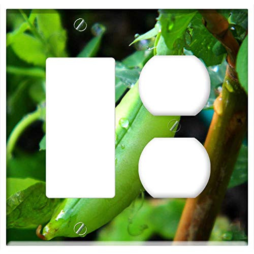 2-Gang Rocker GFCI Outlet Combination Wall Plate Cover - Beans Green Plant Vegetable Green Beans Food