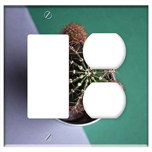 2-Gang Rocker GFCI Outlet Combination Wall Plate Cover - Cactus Succulent Botanical Plant Green Tropical