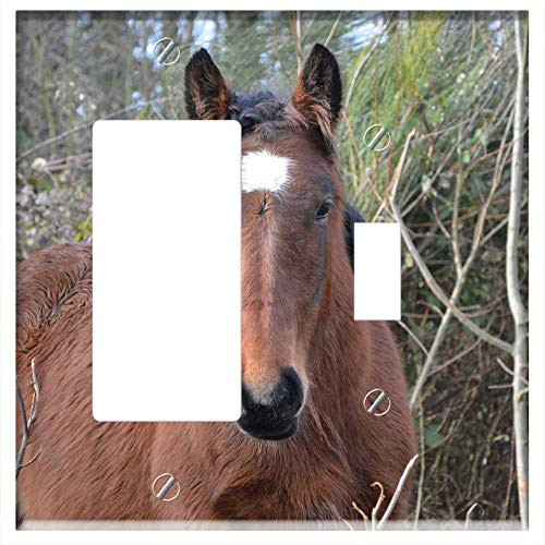 Rocker GFCI Toggle Combination Wall Plate Cover - Horse Gelding Standard Brown Horse Ears White Rocker GFCI Toggle Combination Wall Plate Cover - Horse Gelding Standard Brown Horse Ears White