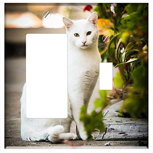 Rocker GFCI Toggle Combination Wall Plate Cover - Cat Animal Pet Kitten Gata Pets Cat Hair Rocker GFCI Toggle Combination Wall Plate Cover - Cat Animal Pet Kitten Gata Pets Cat Hair