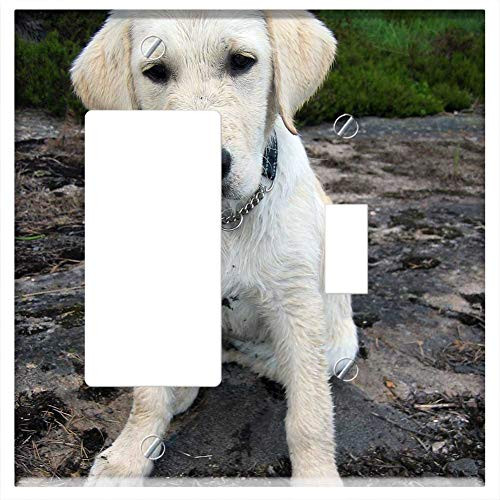 Rocker GFCI Toggle Combination Wall Plate Cover - Dog Puppy Cream Pet Doggy Pup Cute Wet Dog