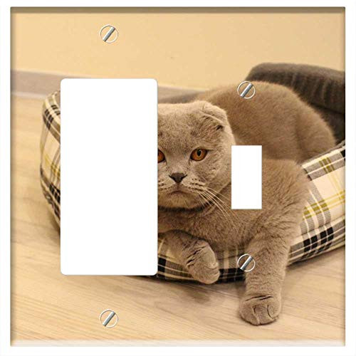 Rocker GFCI Toggle Combination Wall Plate Cover - Cat Animal Pet Fluffy Cat Cat Looking Grey Cat Rocker GFCI Toggle Combination Wall Plate Cover - Cat Animal Pet Fluffy Cat Cat Looking Grey Cat
