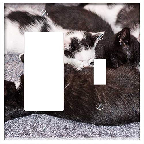 Rocker GFCI Toggle Combination Wall Plate Cover - Baby Cat Cat Baby Kitten Young Cat Cat Snuggle Rocker GFCI Toggle Combination Wall Plate Cover - Baby Cat Cat Baby Kitten Young Cat Cat Snuggle
