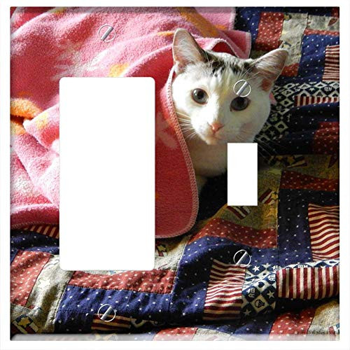 Rocker GFCI Toggle Combination Wall Plate Cover - Cat Cute Cat Feline Kitten Kitty Pet Animal Rocker GFCI Toggle Combination Wall Plate Cover - Cat Cute Cat Feline Kitten Kitty Pet Animal
