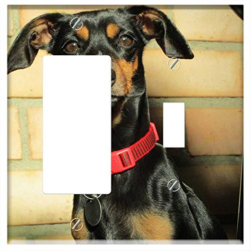Rocker GFCI Toggle Combination Wall Plate Cover - Dog Pet Bitch Free Image Canine Pets Animal Rocker GFCI Toggle Combination Wall Plate Cover - Dog Pet Bitch Free Image Canine Pets Animal