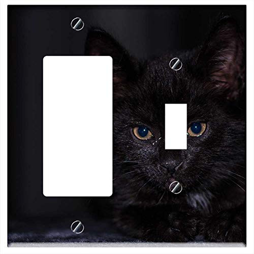 Rocker GFCI Toggle Combination Wall Plate Cover - Baby Cat Cat Baby Kitten Young Cat Cat Snuggle 2