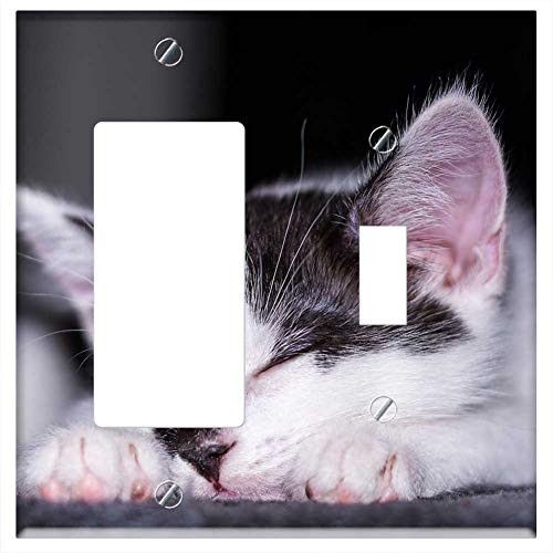 Rocker GFCI Toggle Combination Wall Plate Cover - Baby Cat Cat Baby Kitten Young Cat Cat Snuggle 12 Rocker GFCI Toggle Combination Wall Plate Cover - Baby Cat Cat Baby Kitten Young Cat Cat Snuggle 12