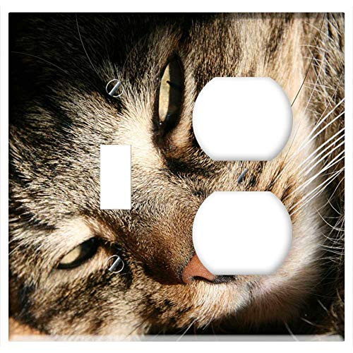2-Gang Toggle Outlet Combination Wall Plate Cover - Cat Pet Mackerel Tired Lying