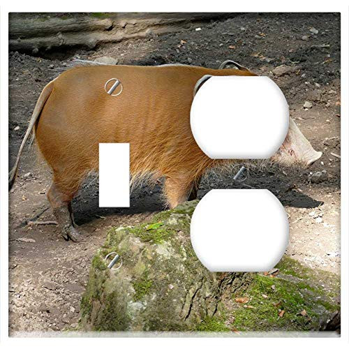 2-Gang Toggle Outlet Combination Wall Plate Cover - Brush Ear Pig Pig Ear Zoo Animal 2-Gang Toggle Outlet Combination Wall Plate Cover - Brush Ear Pig Pig Ear Zoo Animal