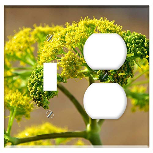 2-Gang Toggle Outlet Combination Wall Plate Cover - Fennel Wild Fennel Blossom Bloom Fennel Flower