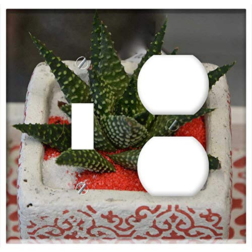 2-Gang Toggle Outlet Combination Wall Plate Cover - Plant Cactus Nature Green Vegetation Succulent