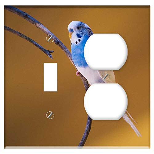 2-Gang Toggle Outlet Combination Wall Plate Cover - Bird Nature Wildlife Aviary Feather Parrot Blue