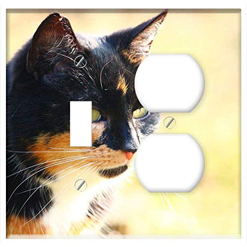 2-Gang Toggle Outlet Combination Wall Plate Cover - Cat Lucky Cat Three Coloured Mieze Cat Face Pet 1