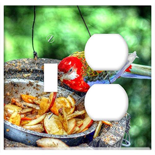 2-Gang Toggle Outlet Combination Wall Plate Cover - Bird Zoo Metropolitan By Feeding Bird Food Parrot 2-Gang Toggle Outlet Combination Wall Plate Cover - Bird Zoo Metropolitan By Feeding Bird Food Parrot