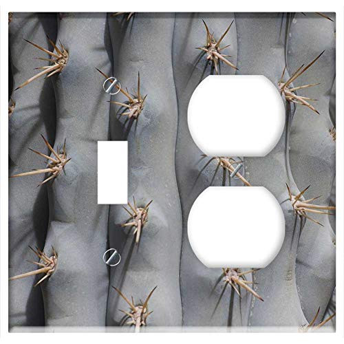 2-Gang Toggle Outlet Combination Wall Plate Cover - Cactus Thorns Plant Prickly Cactus Stem Succulent