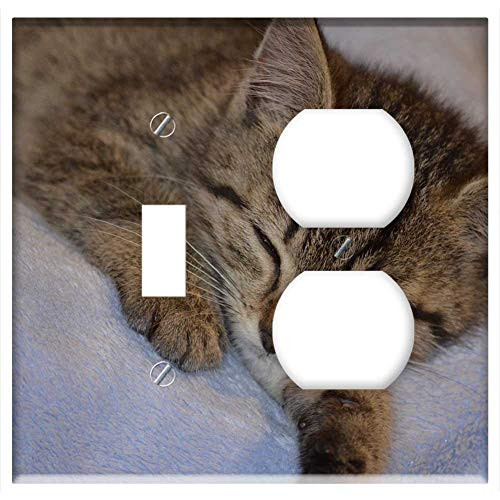 2-Gang Toggle Outlet Combination Wall Plate Cover - Sleep Rest Cat Small Cat Animals Pets Tired