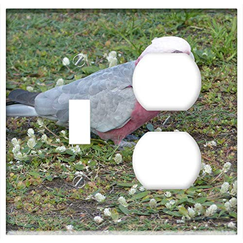 2-Gang Toggle Outlet Combination Wall Plate Cover - Galah Parrot Cockatoo Bird Fly Wings Feather