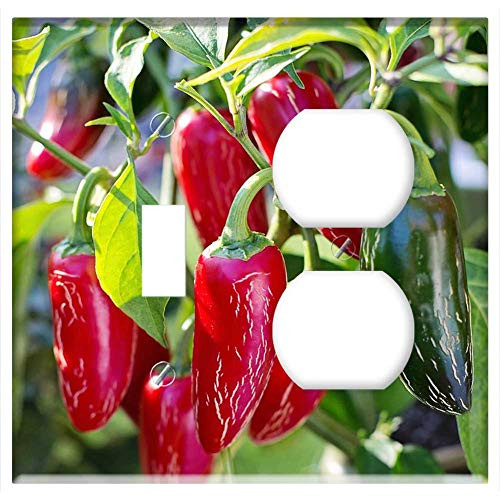 2-Gang Toggle Outlet Combination Wall Plate Cover - Jalapeno Peppers Red Jalapeno Vegetable Hot Chili