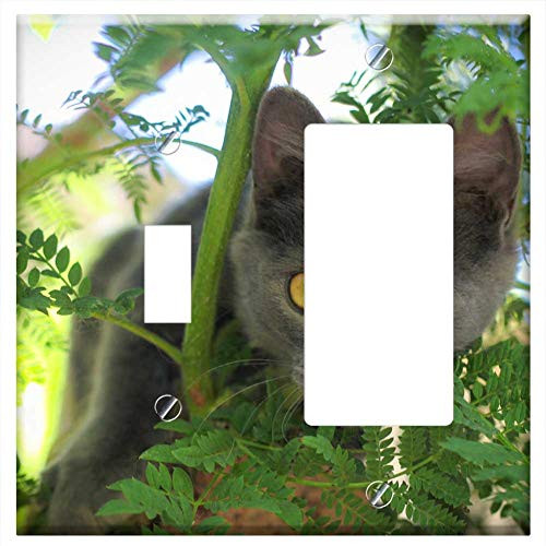 Toggle Rocker GFCI Combination Wall Plate Cover - Cat Pet Animal Animals Look Puppy Cats Pets Toggle Rocker GFCI Combination Wall Plate Cover - Cat Pet Animal Animals Look Puppy Cats Pets