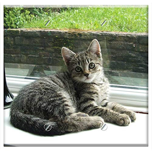 Double Blank Wall Plate Cover - Cat Cats Kittens Kitten Animal Pets Pet Cute