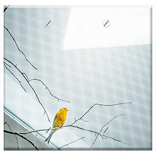Double Blank Wall Plate Cover - Bird Yellow Cage Bird Cage Aviary Sun