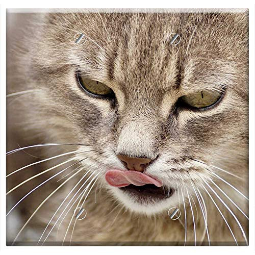 Double Blank Wall Plate Cover - Cat Domestic Cat Animal Mieze Pet Nature Mackerel