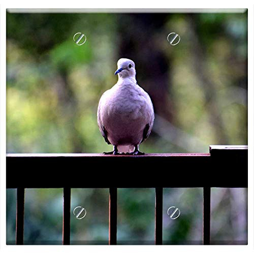 Double Blank Wall Plate Cover - Birds Dove Nature Wing Pigeon Feather Peace