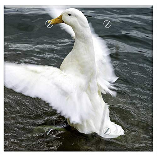 Double Blank Wall Plate Cover - Duck Pond Wings Feather Water Lake Bird Wildlife