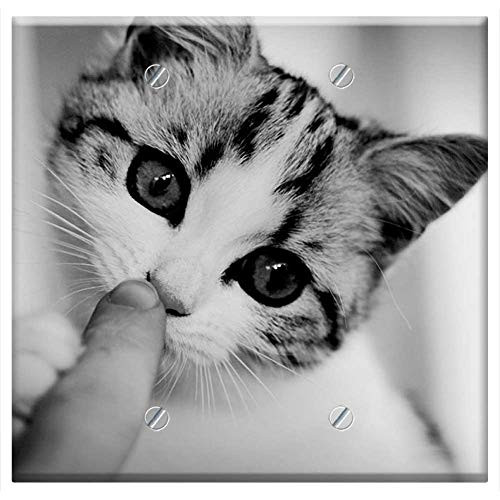 Double Blank Wall Plate Cover - Cat Kitten Young Cat Pet Domestic Cat Playful