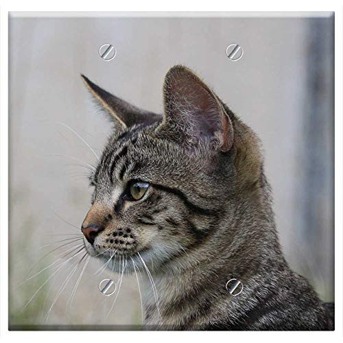 Double Blank Wall Plate Cover - Cat Kitten Young Cats Cat Baby Young Cat